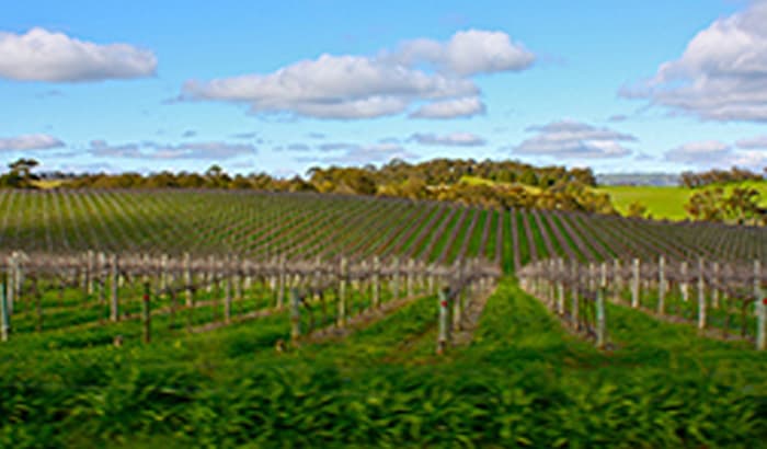 Adelaide Region Guide