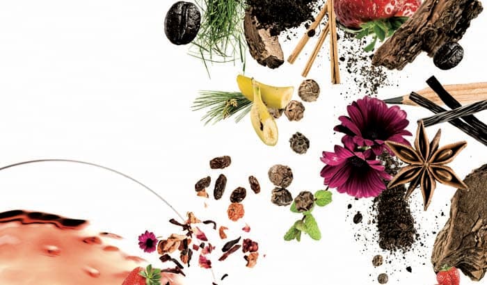 The Five S's of Wine Tasting